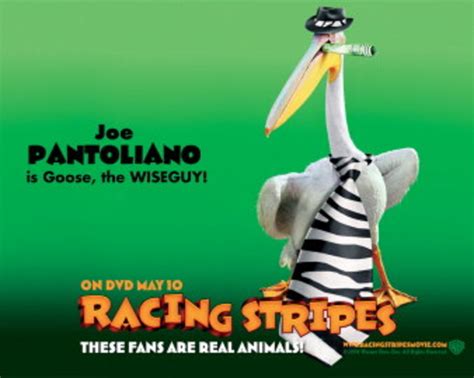 Racing Stripes Movies