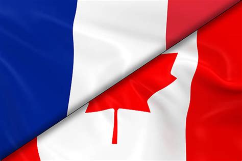 Top 60 French And Canadian Flags Stock Photos Pictures And Images