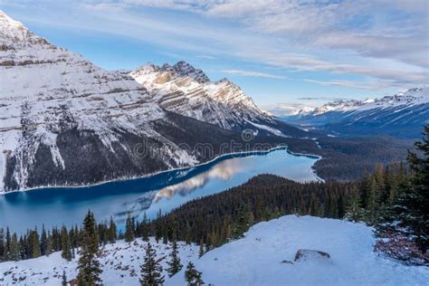 Peyto Lake Panorama In Winter Stock Photo Image Of Rocky Winter