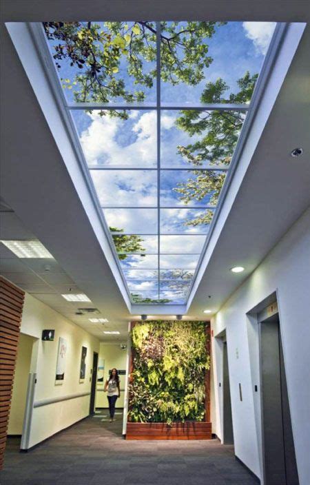 Why Biophilic Design Is Important In Our Interior Environments Indoor