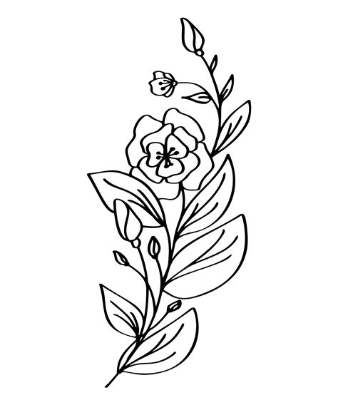 White Background With Flowers Drawing