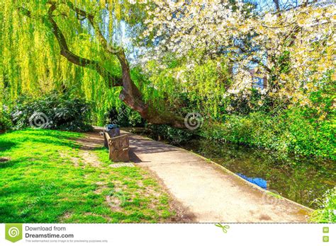 We did not find results for: Willow Tree And Cherry Blossom At New River Walk, London ...