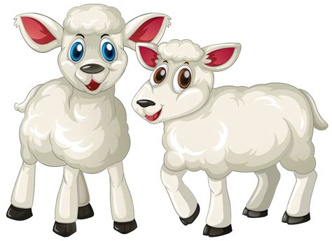 Two Cute Lambs Standing 368053 Vector Art At Vecteezy