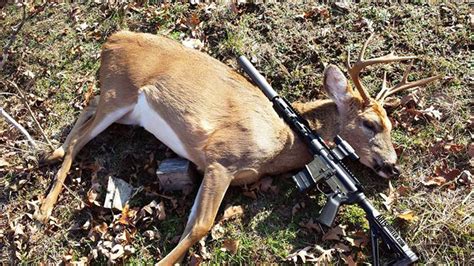 Hunting Deer Suppressed Sbr Ar15 1 Ar15 Hunter