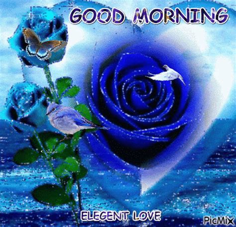 Blue Rose Images Good Morning ~ Sky Blue Rose Good Morning Images