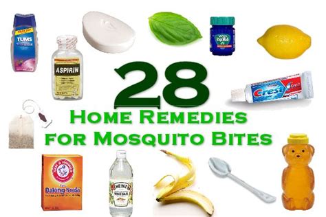 28 home remedies for mosquito bites mother s home