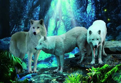 Pet Pvc Pp Wolf Animal Photos Lenticular 3d Posters