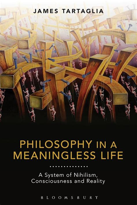 Philosophy In A Meaningless Life A System Of Nihilism Consciousness