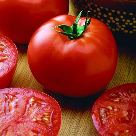 The flavor is great for a large tomato and the different disease resistances make it perfect for the backyard garden. Big Beef Hybrid Tomato Seeds (Italian Type) 2310 | OSC Seeds