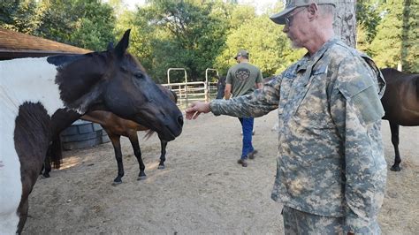 Rescue Horses Help Veterans And First Responders All Good Youtube