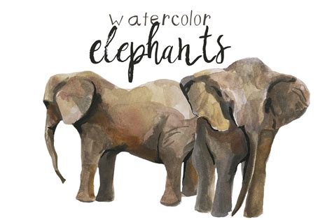 Watercolor Elephants Clip Art Illustrations Creative Market
