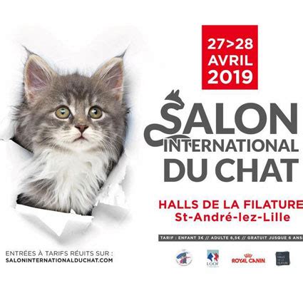 We did not find results for: Salon International du Chat de Lille 2019 - Conseil véto ...