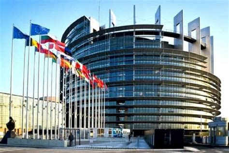 Parlamento Europeo Pide Protección Para Periodistas Y Activistas