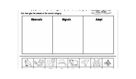 hibernation and migration worksheets
