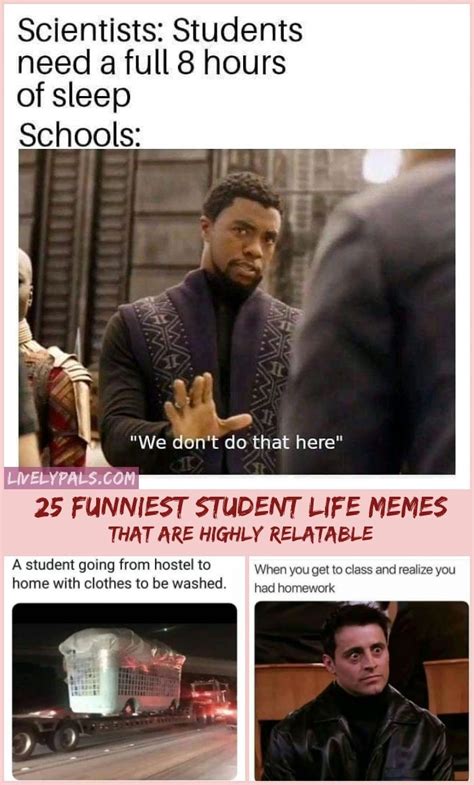 25 Funniest Student Life Memes That Are Highly Relatable Relatable