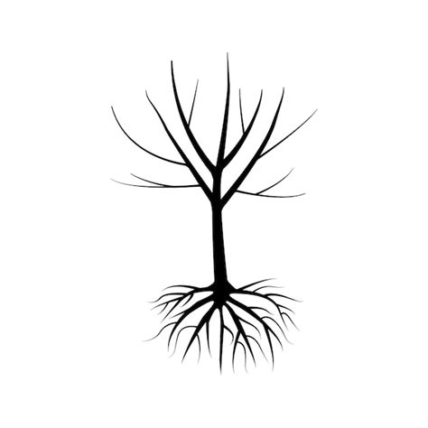 Premium Vector Tree With Roots Oak Tree Vector Illustration