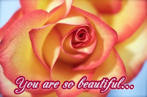 You Are So Beautiful Free Roses Ecards Greeting Cards 123 Greetings