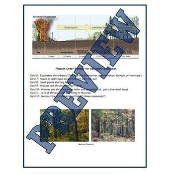 Cyclical successionis when a community is changed by recurring events or changing interactions with species of plants or animals. Ecological Succession (Ecosystem Changes) Flip Book ...