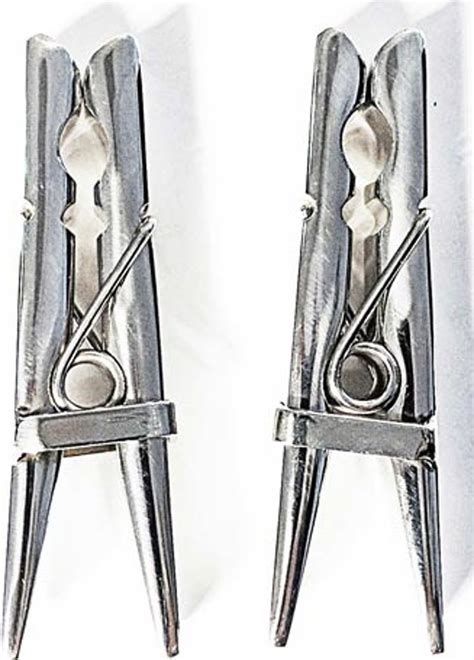 Stainless Steel Clothespins 2 Pcs Set