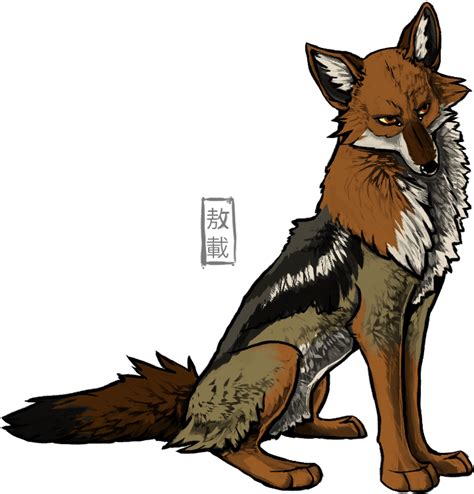 Jackal Png Isolated File Png Mart