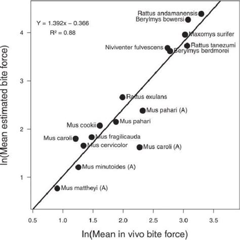 Plot Showing The Linear Relationship Between Log Transformed In Vivo