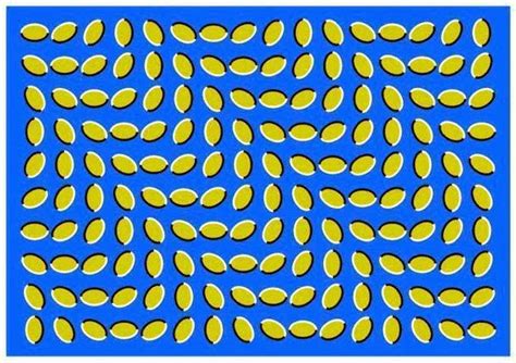 Moving Pictures Optical Illusions To Trick Your Brain Eye Illusions