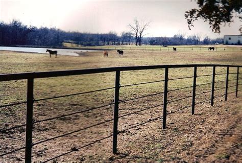 I've built miles of pipe fence. Pin on Pipe Fence
