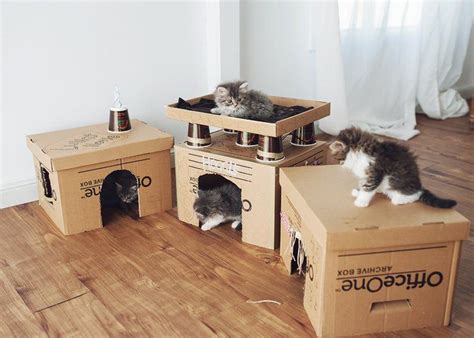 20 Creative Cat Houses Your Pets Will Love