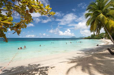 Top Des Plus Belles Plages De Martinique Martinique Paysage Plage