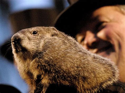 Groundhog Day 2023: Punxsutawney Phil Predicts 6 More Weeks Of Winter