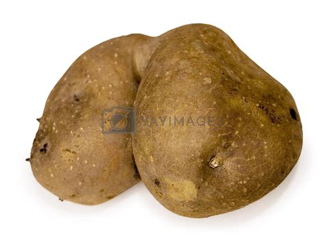 Royalty Free Image Potato Butt Spud Bum To His Friends By Undy