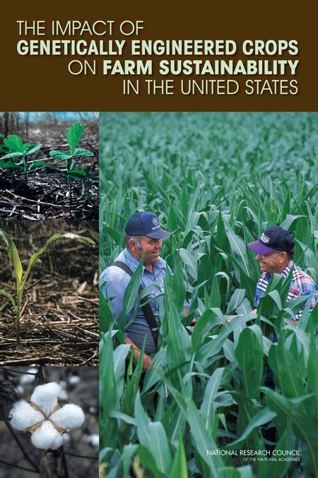 Environmental Impacts Of Genetically Engineered Crops At The Farm