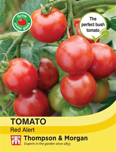 Tomato Red Alert Thompson And Morgan Seed Pack Horticentre Your