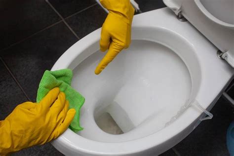 7 Reasons Why My Toilet Keeps Clogging For No Reason Birnie Plumbing