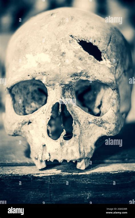 Broken Human Skull Hi Res Stock Photography And Images Alamy