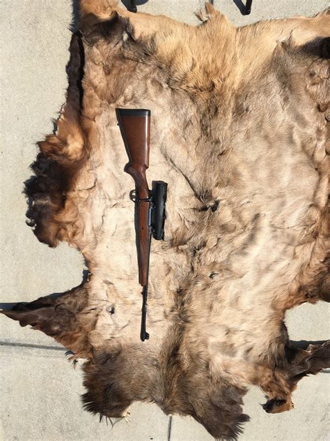 Elk Hide For Sale Sass Wire Classifieds Sass Wire Forum
