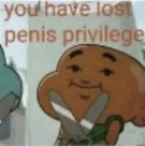 You Have Lost Penis Privilege Blank Template Imgflip