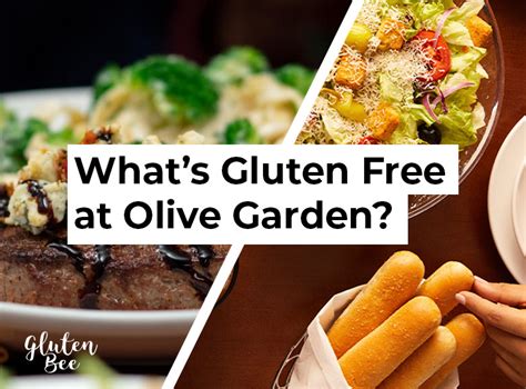 Olive Garden Gluten Free Menu Items And Options Glutenbee