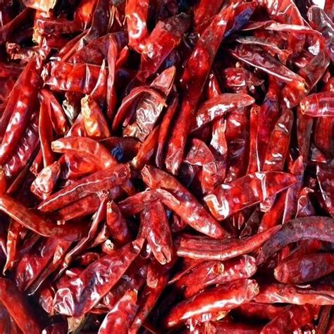 Dry Red Chilli At Best Price In Madurai By Mproteins Retail And Exports