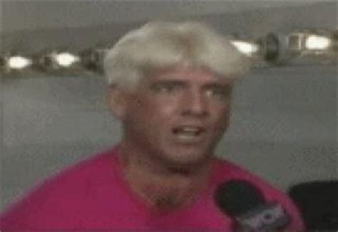 Latest and popular ric flair gifs on primogif.com. HILARIOUS RIC FLAIR GIFS - Gallery