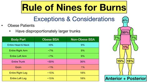 Rule Of Nines Burn Chart Printable