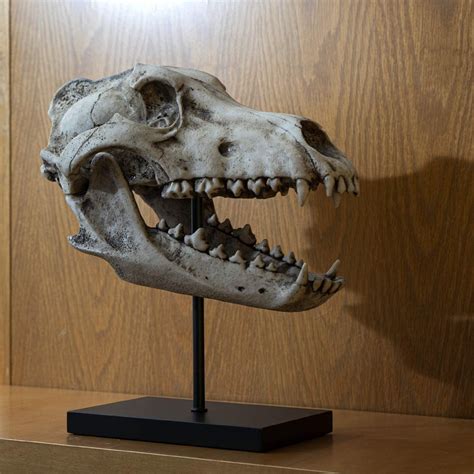 Replica Prehistoric Skulls Fossil Look Resin Sculpture With Etsy