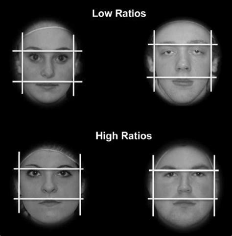 Friend Or Foe What The Shape Of Your Face Says About You
