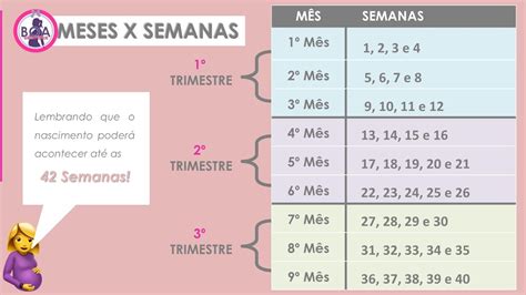 como converter semanas de gravidez em meses tabela oficial patrícia moreira youtube