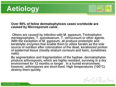 Immunology Of Dermatophytes And Dermatophytosis Online Presentation
