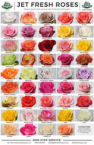 Rose Varieties Rose Flower Planting Roses Flower Chart