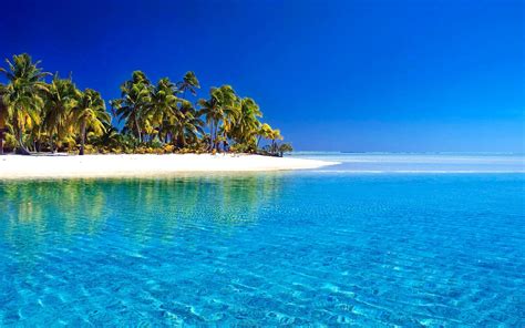 Tropical Opus Paradise Palm Beach Horizon Aitutaki Island Cook Sky