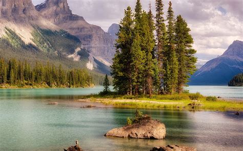 Download Wallpaper Forest Spruce Lake Canada Mountains Island Alberta