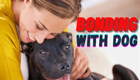 Dog Strong Relationship 15 Proven Ways To Bond With Your Dog