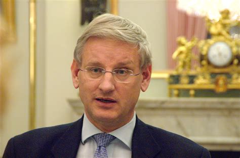 Bildt served as sweden's minister for foreign affairs from 2006 to 2014. File:Carl Bildt.b8dn3503382.jpg - Wikimedia Commons